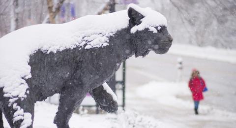 UNH Wildcat Statue in the winter
