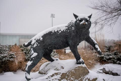 UNH Wildcat Sculpture in the snow