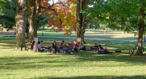 Class outdoors sitting in a circle under the shade of trees