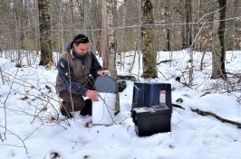 研究er David Moore collecting sap from beech trees in a forested area. 雪覆盖着大地. 大卫蹲在一个水桶旁边.