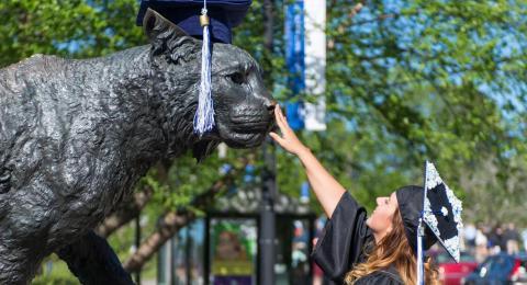 刚毕业的学生拍着野猫雕像的鼻子.